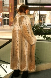 Toronto Furs - Yukon Fur - 1667 Dundas Street West - Mink, Fox, Lynx, Beaver, Sable, Chinchilla, American Legend Blackglama