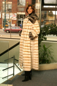 Toronto Furs Showroom - Fur Coat Yukon Fur - 1667 Dundas Street West, Toronto, M6K 1V2