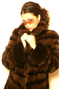 Toronto Furs Showroom - Fur Coat Yukon Fur - 1667 Dundas Street West, Toronto, M6K 1V2